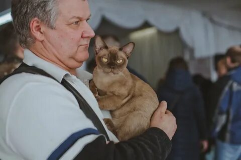 Выставки в сокольниках 2024