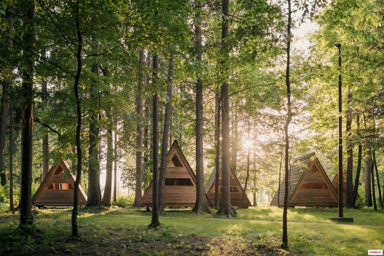 Camping green. Глэмпинг Форест кемпинг. Грин Форест глэмпинг. Глэмпинг «в лесу» Волоколамск. Кемпинг Лесной дом Вытегра.