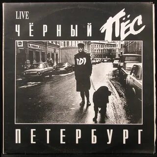 Ддт черный пес петербург