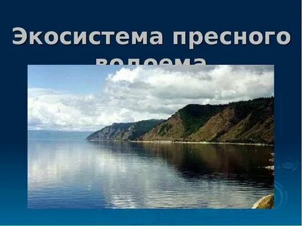 Пресная экосистема