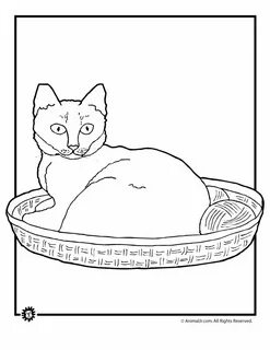 Как нарисовать кота дома