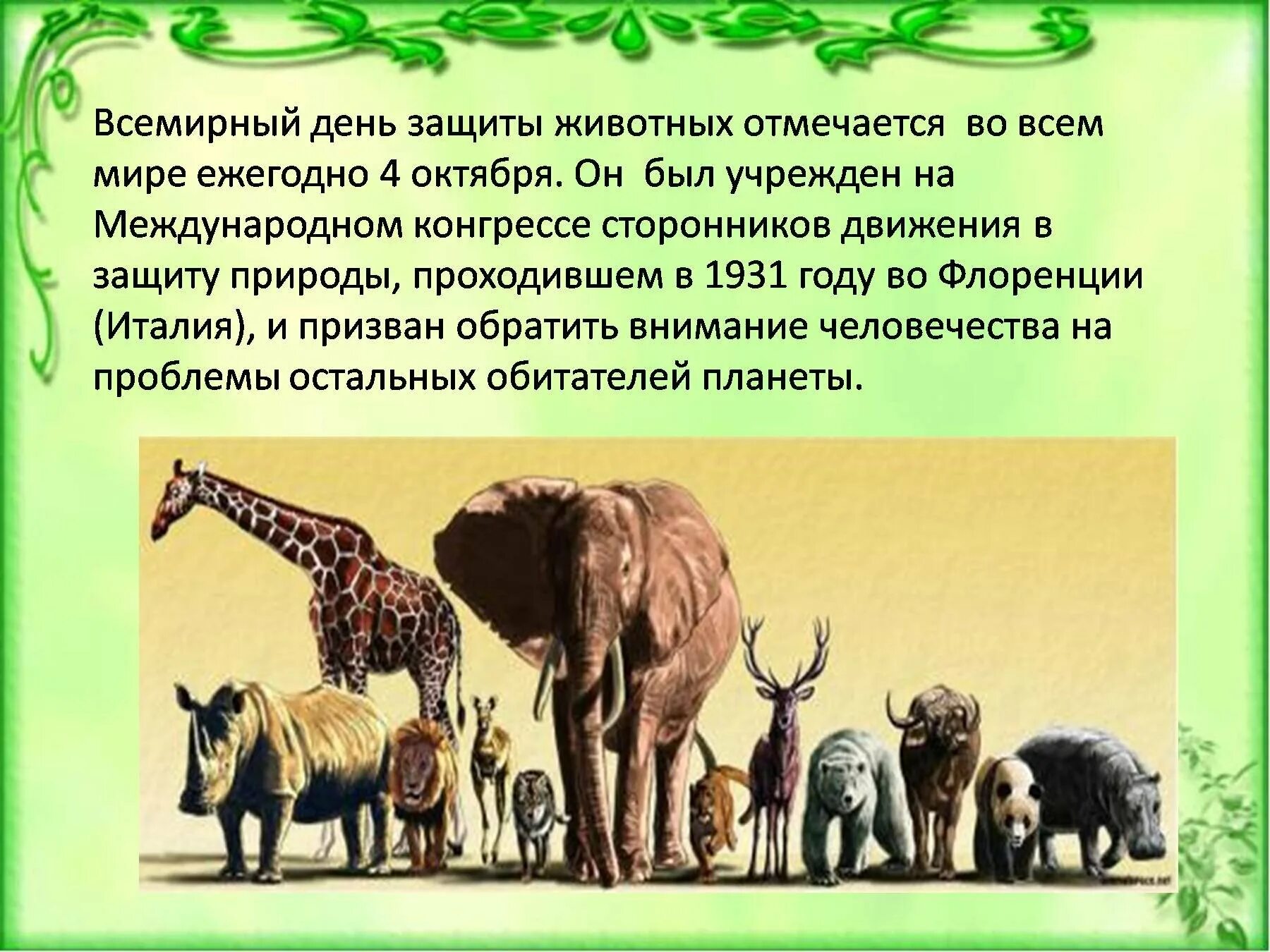 4 октября защиты животных. День защиты животных. всемирный день животных. деньзащититы животных. международный день защиты животных.