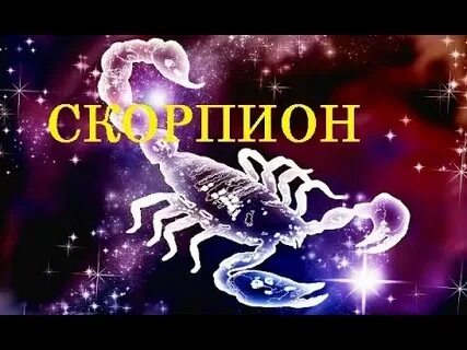 Скорпион какие имена