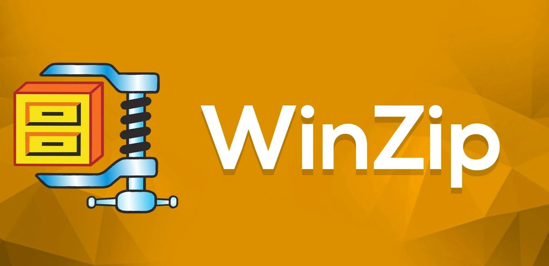 Игры архиватор. Архиватор winzip. winzip картинка. winzip логотип. winzip интерфейс.
