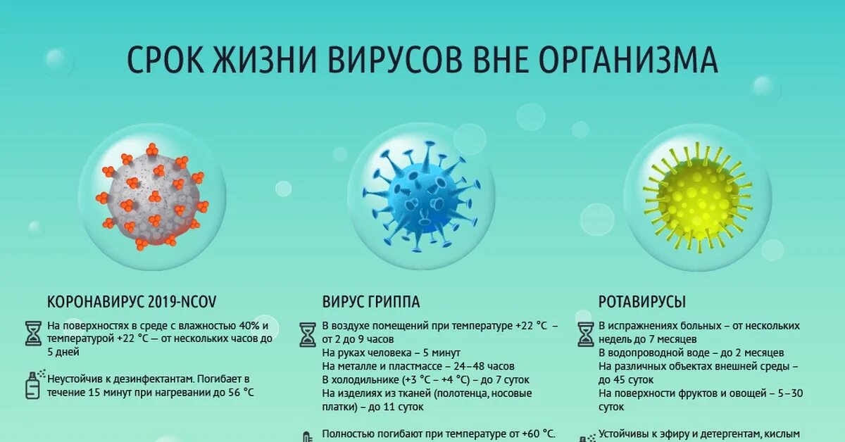 Грипп на данный момент. Вирус гриппа. вирус коронавирус.