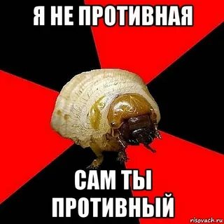 День противно