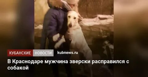 Собака маньяк