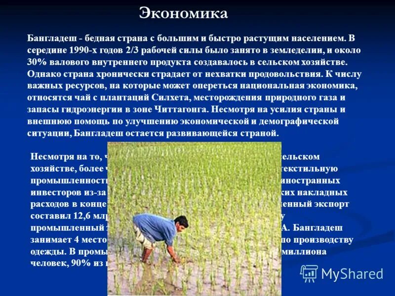 бангладеш земледелие. хозяйство страны бангладеш. хозяйство страны бангладеш. уровень экономического развития бангладеш. сандвип бангладеш.