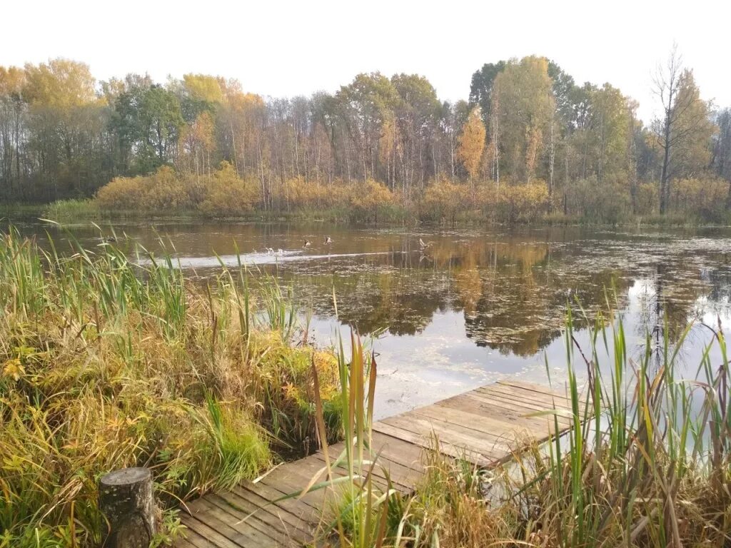 Утреннее марево. Аэропорт в село марево новгородской области. Марево новгородская область. Марево рассвета. Что такое марево в природе.