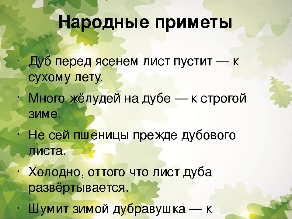 Приметы цветения. Народные приметы про дуб. Пословицы о дубе. Особенные приметы дуба. Особые приметы дуба.