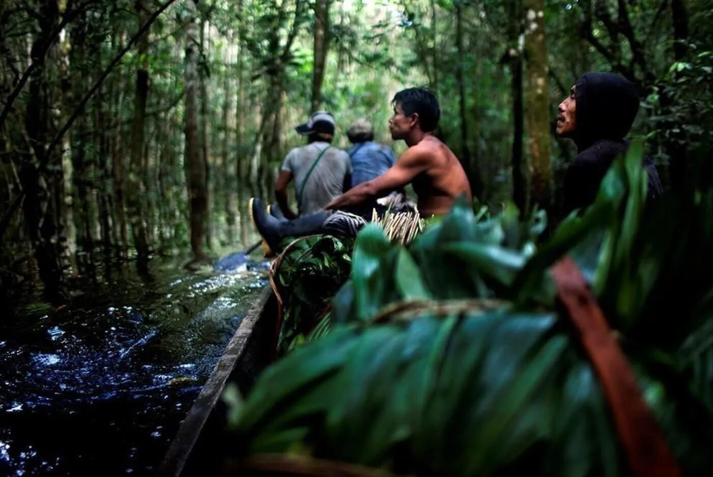 Негритянка в джунглях. Лодка в джунглях. Джунгли Амазонии жители. Племена амазонки в лодке. Компания в джунглях.