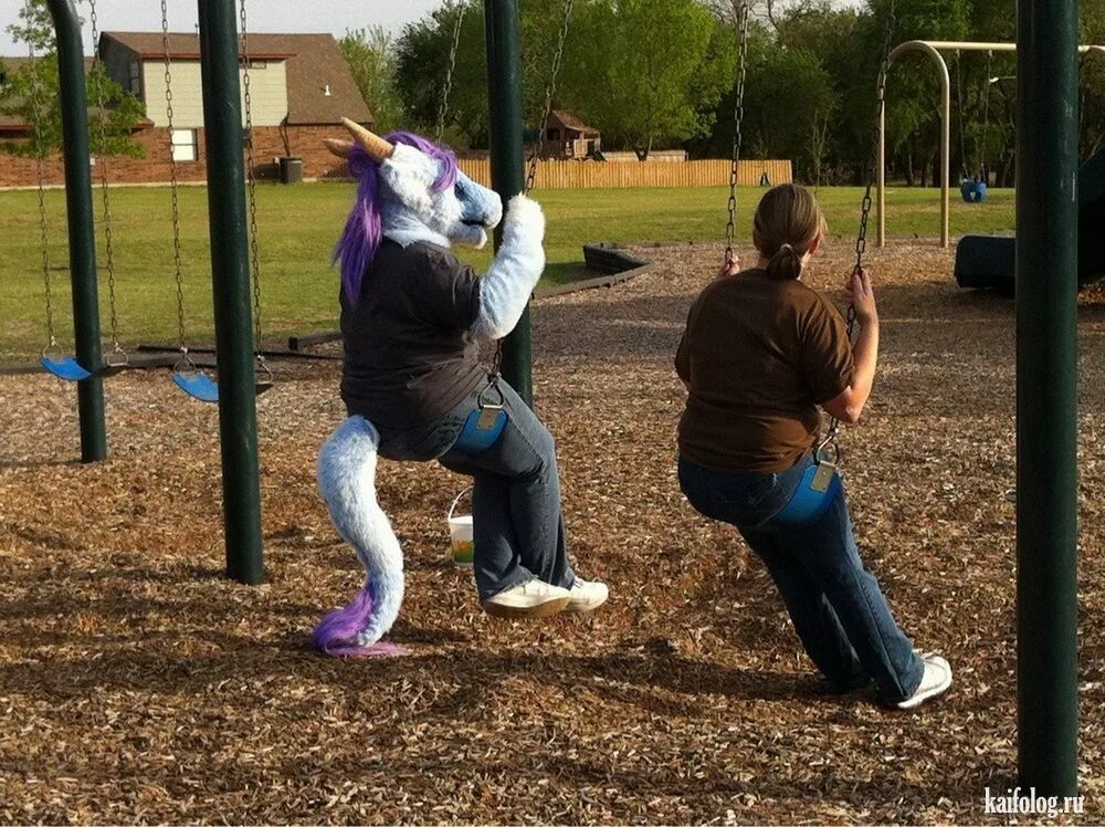 Утренняя зарядка фото. Конкурсы с воздушными шарами для детей. Спортивный юмор в картинках. Котенок занимается спортом. Физкультминутка для детей.