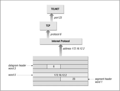 7 tcp