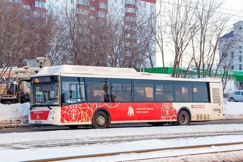 67 автобус пермь