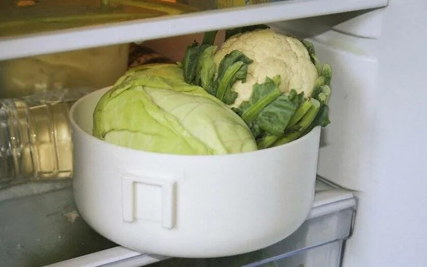 Можно хранить капусту в холодильнике. Цветная капуста в холодильнике. Хранение капусты. Хранение цветной капусты в морозильной камере. Хранение капусты в холодильнике.