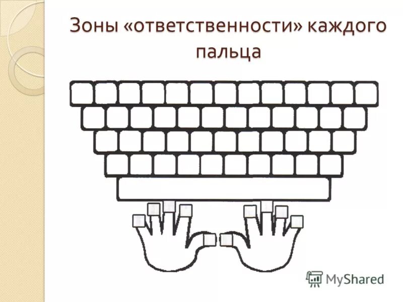Основная позиция пальцев на клавиатуре 7 класс. Зоны пальцев на клавиатуре. зоны ответственности пальцев. раскладка клавиатуры по пальцам.