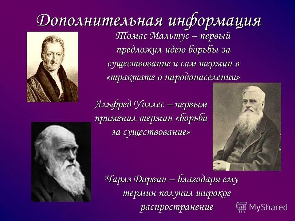 Подход который продолжает идеи борьбы. Борьба за существование. Борьба идея существования. Впервые ввел выражение борьба за существование.