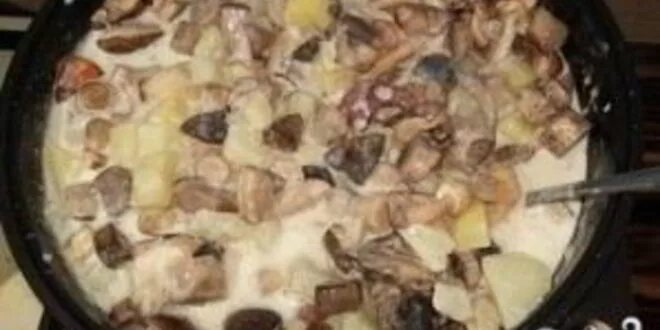 Грибная солянка с картошкой. Молочная солянка. Постная солянка. Солянка с картошкой. Солянка грибная сборная.