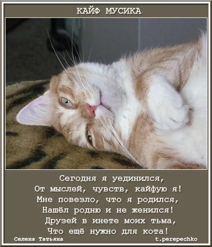 А я кайфую когда ты смотришь. Кайфую сегодня я. открытка я кайфую. я сегодня кайфую картинки. суббота кайфуем.