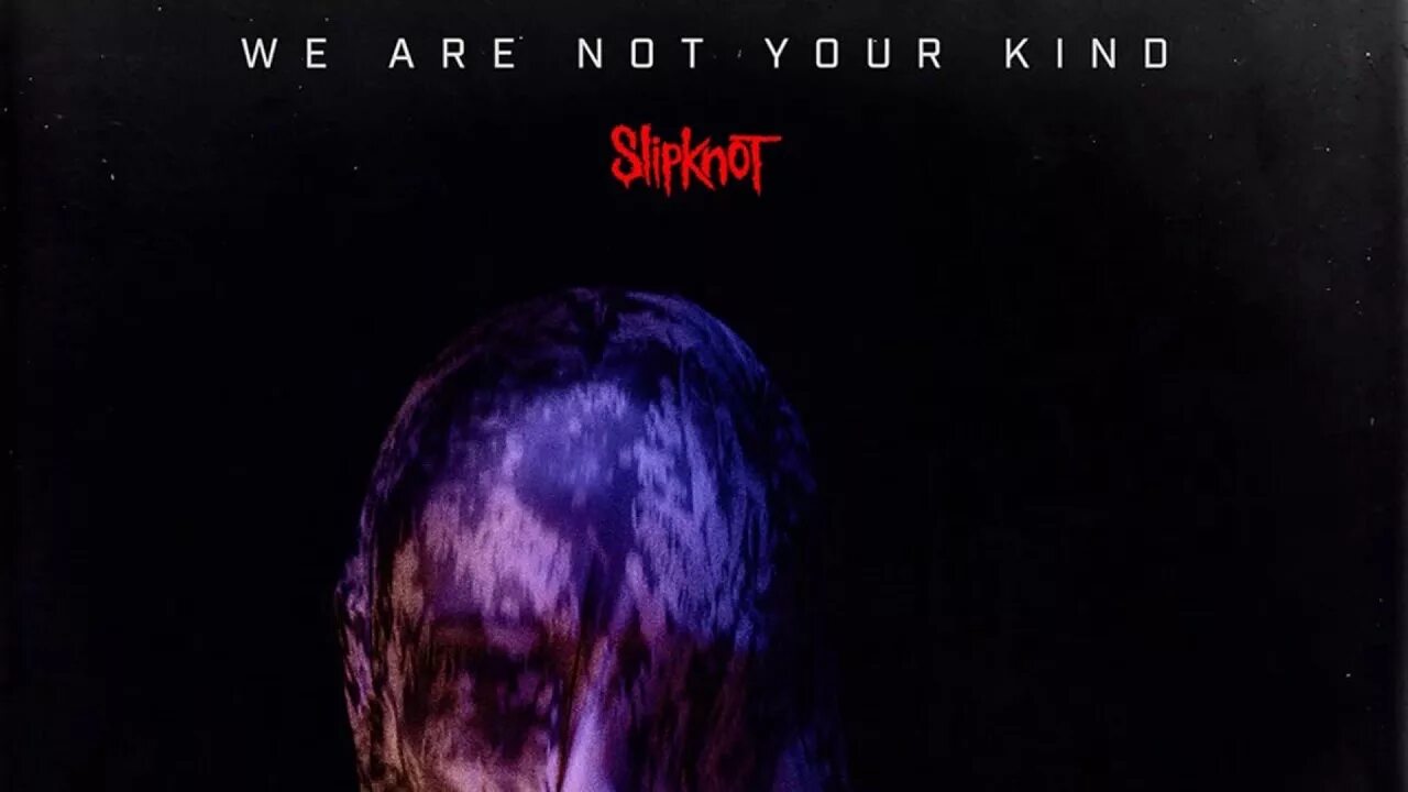 Slipknot we are not your. Slipknot альбом we are not your kind. slipknot we are not your kind обложка.