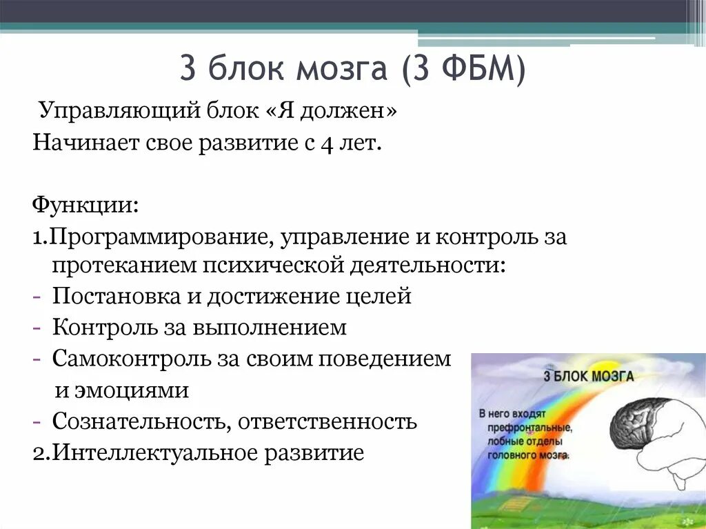 Нарушения блоков мозга. Лурия 3 блока мозга. Функции 3 блока мозга по Лурия. Функции 2 блока мозга по Лурия. 3 Функциональный блок мозга структура.