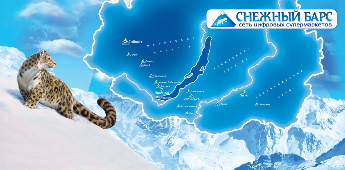 Плакат в поддержку снежного барса. Ареал обитания снежных Барсов в России. Снежный Барс Улан-Удэ. Снежный Барс компания Улан-Удэ. Ареал обитания снежного Барса в мире.