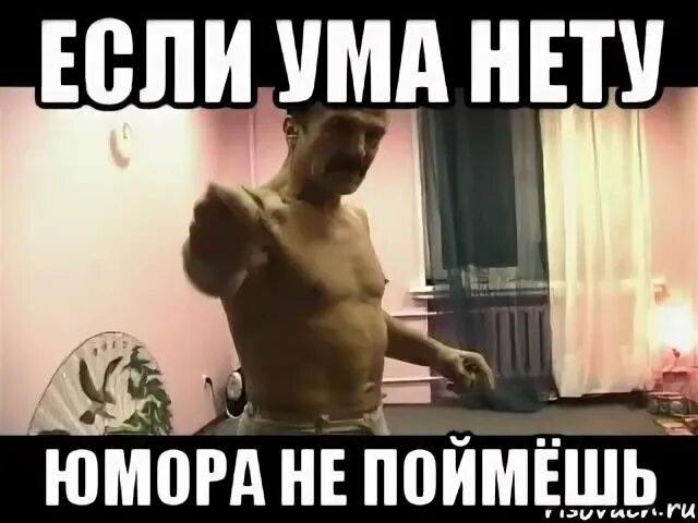 Ума нет а это. Ума нету. паскуда тварь. паскуда тварь мем. юмор понимаешь паскуда.