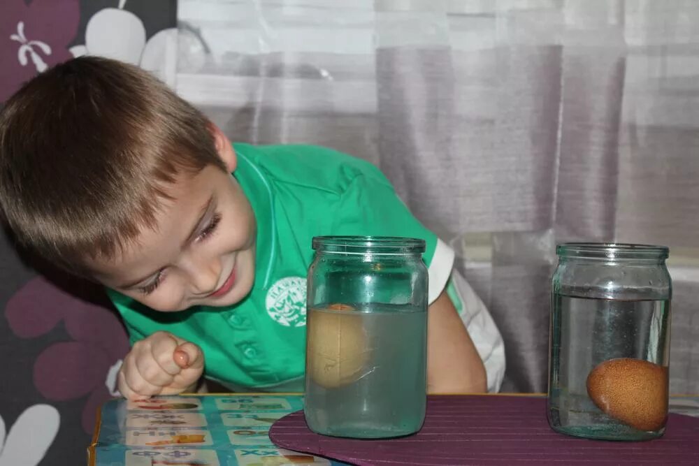 джозеф пристли открытие фотосинтеза. эксперименты для дошкольников. опыты с водой для детей. эксперименты для детей. д опыт.