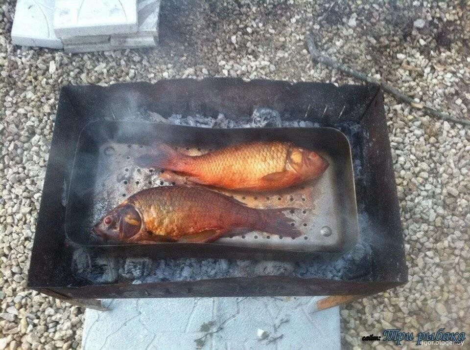 Сколько коптить карпа