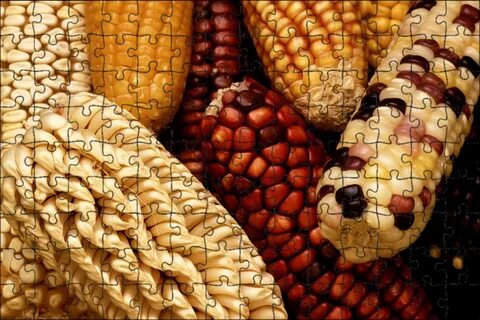 Маис
