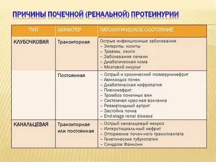 Почечный белок