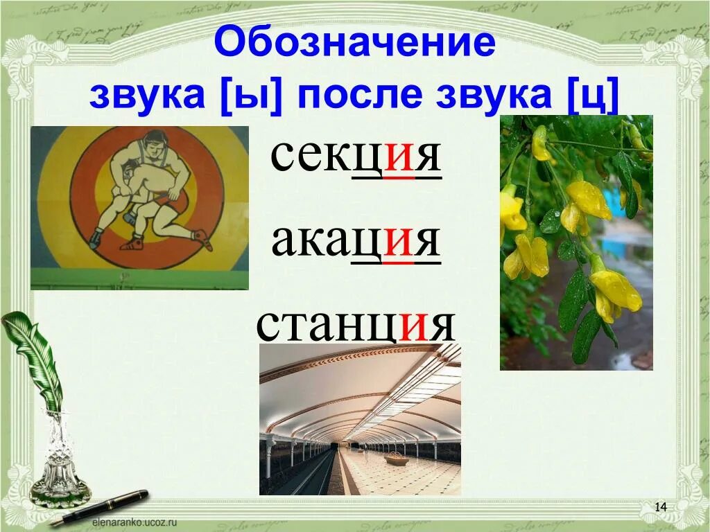 После звучание. Учимся обозначать звук ы после звука ц. Обозначение звука ы после звука ц. Обозначение звука [ы] после ц 3 классе. Звук ы после звука ц 3 класс.