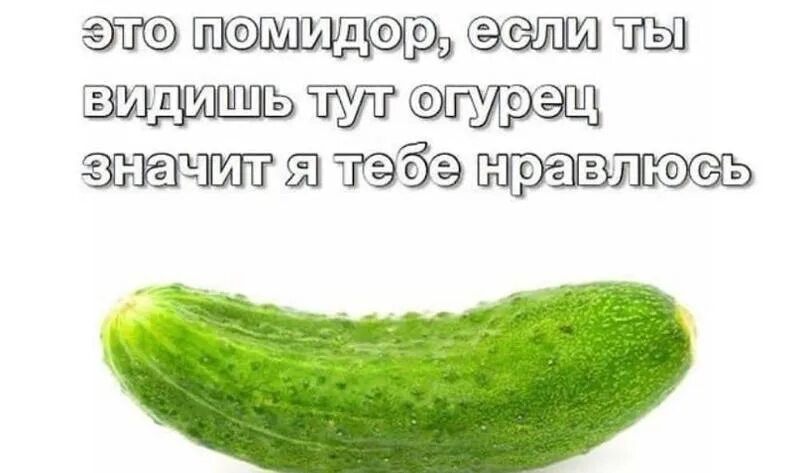 Не до завтрака, когда даже огурец хочется сосать, а не есть