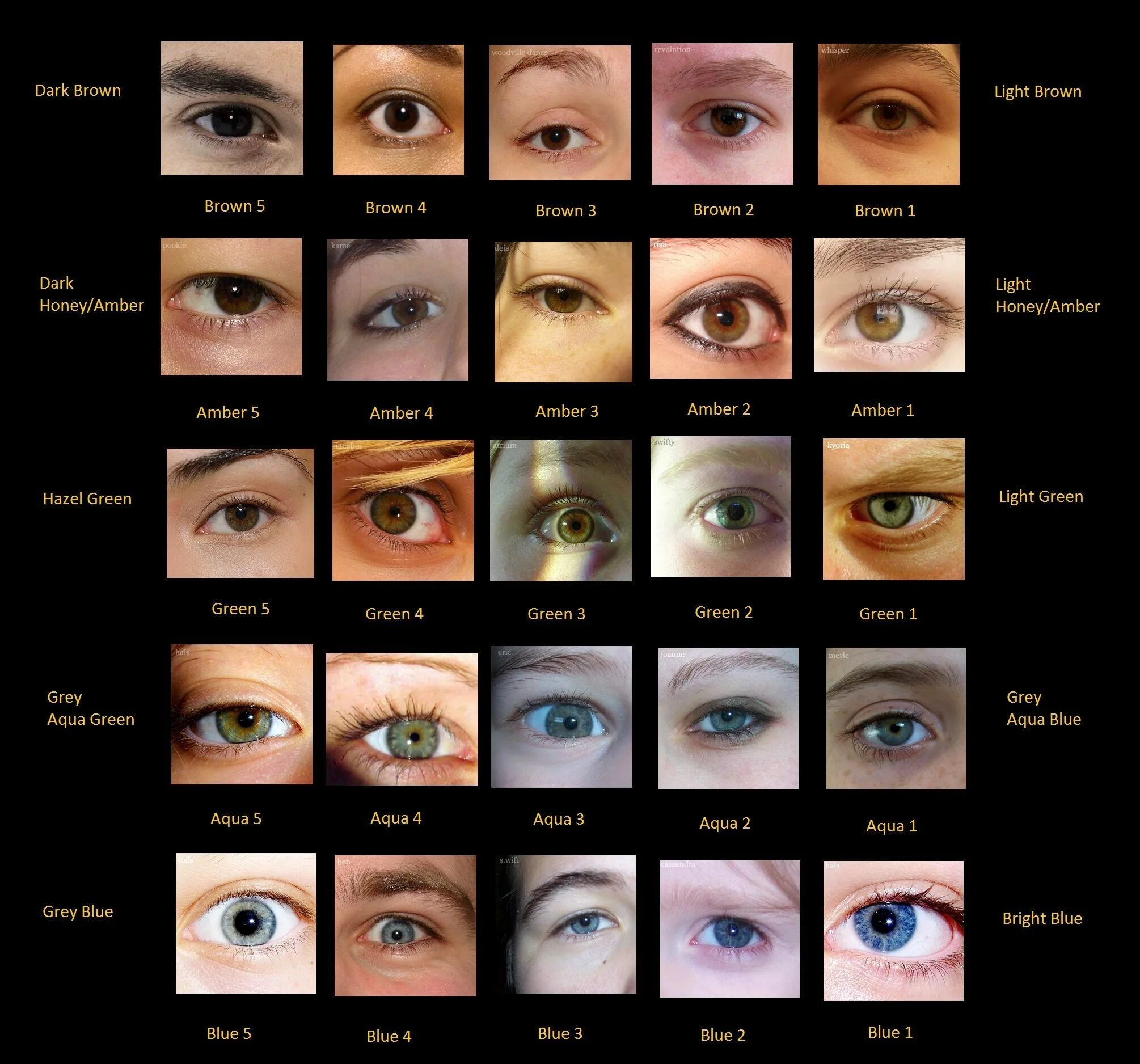 Цвет глаз. Названия цветов глаз. Какого цвета бывают Глаша. Всевозможные оттенки глаз. Different eye