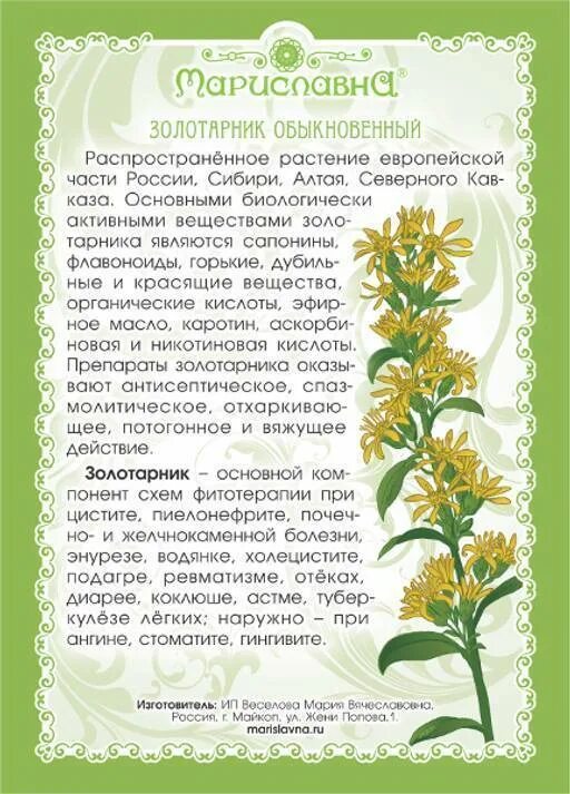 Золотарник лрс. Формула цветка золотарника канадского. Золотарник обыкновенный лечебные. Золотарник золотые стрелы. Золотарник куст.