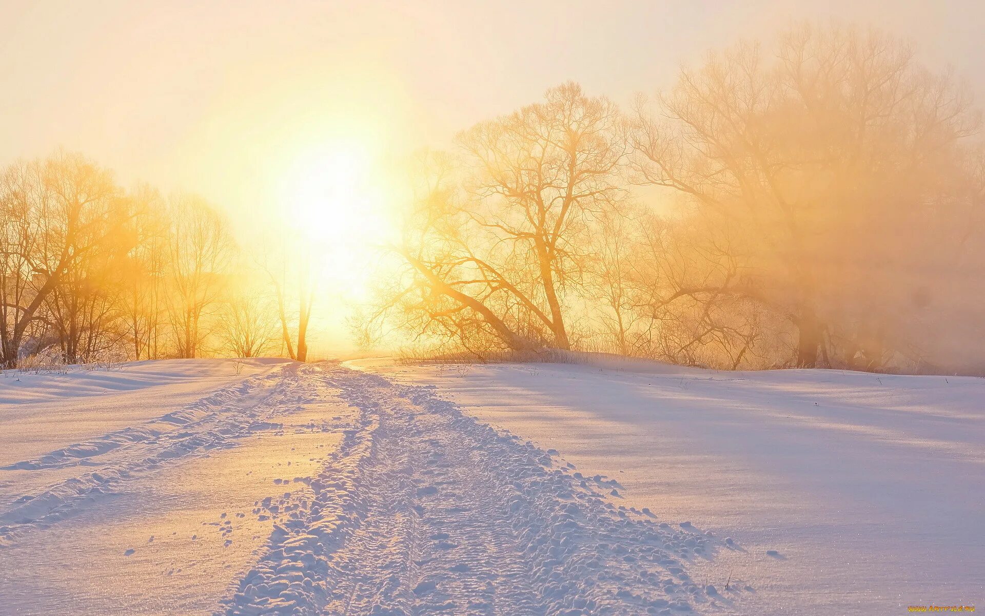 Зима солнце. Солнечный зимний день. Рассвет зимой. Солнечное зимнее утро. Солнце играет на снегу