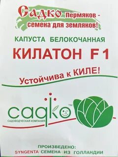 Капуста сорт килатон отзывы