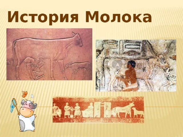 Молоко в древности. История происхождения молока. Молоко в древности картинки. История молока картинки.