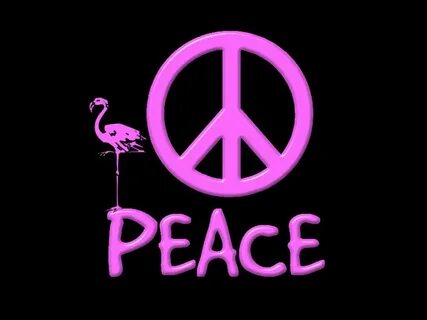 Peace begins
