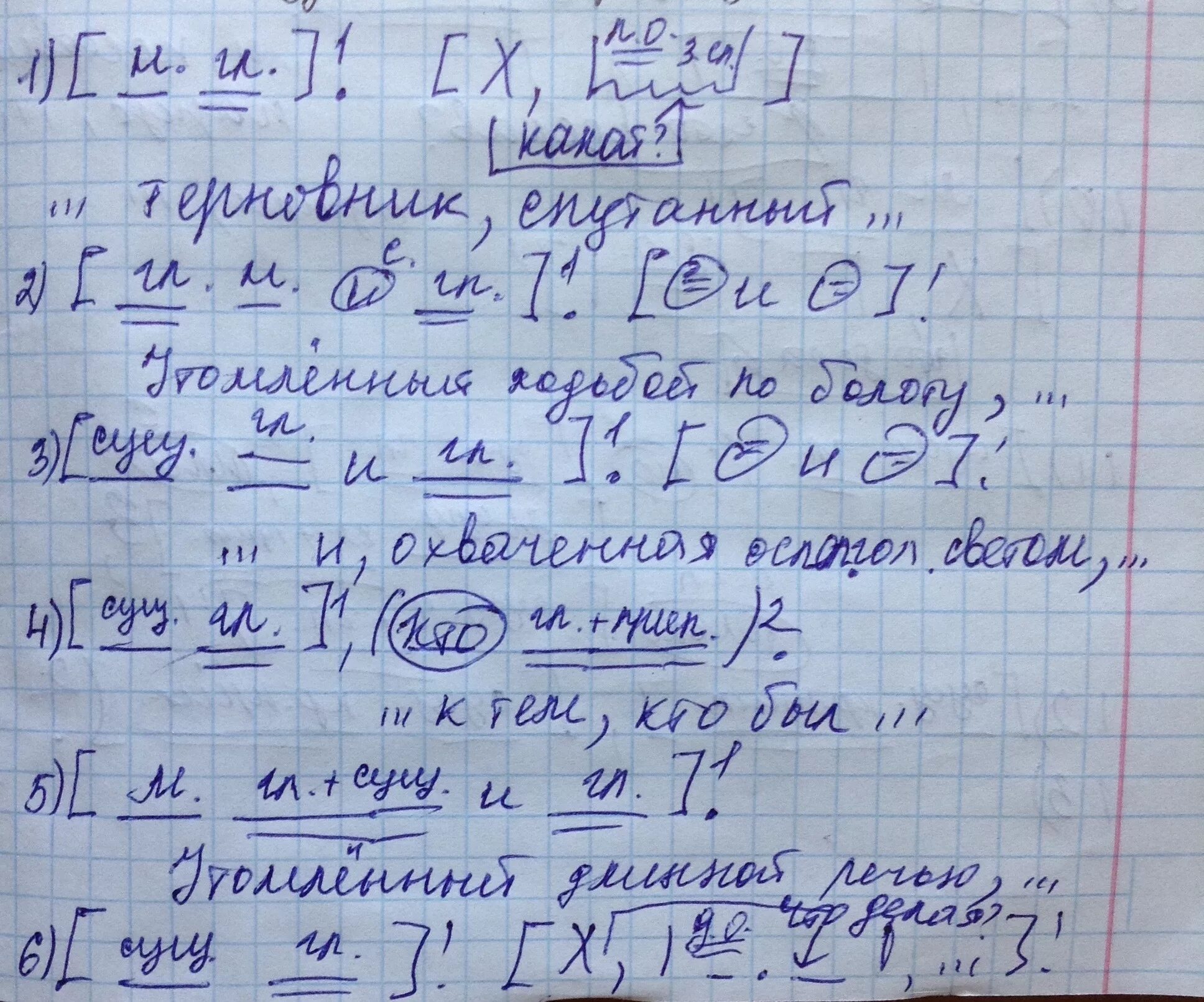 Напрасно в бешенстве порой я рвал отчаянной. Я рвал отчаянной рукой Терновник спутанный плющом запятая.