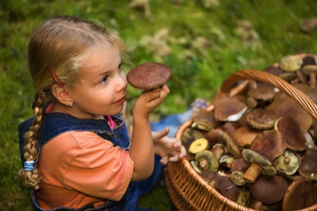 грибы в детских руках. корзина с грибами. весенние грибочки. есть грибы. лиса и гриб ест белый гриб.