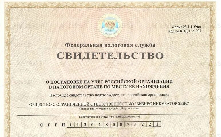 Где получит ннн. Инн иностранного гражданина. свидетельство инн иностранного гражданина. как выглядит инн иностранного гражданина. как выглядит ннн документ.