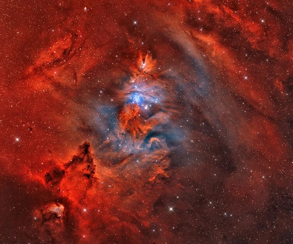 Туманность NGC 2264. Конус NGC 2264. Туманность Лисий мех. Ngc2264 Nebula. Новелла межзвездная