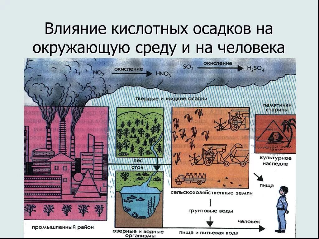 Кислотные дожди факторы влияния. Кислотные дожди и их влияние на окружающую среду. Влияние кислотных дождей на окружающую среду. Кислотные осадки влияние на окружающую среду.