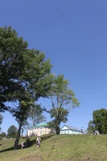 Погода в воробьевке воронежской