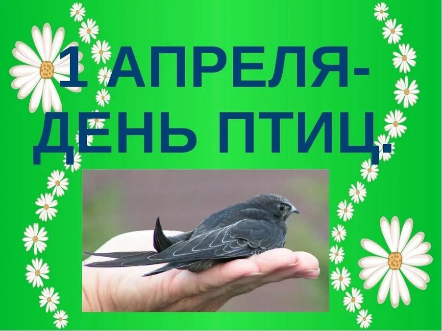 День птиц. Денптицу. 1 Апреля день птиц. Апрель день птиц.