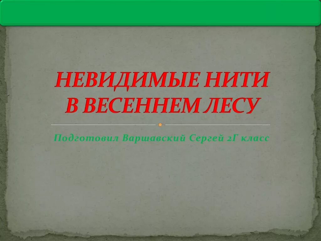 Невидимая нить. Невидимые нити в лесу весной. Невидимые нити в весеннем лесу. Невидимые нити в весеннем лесу 2. Схема невидимых нитей в весеннем лесу