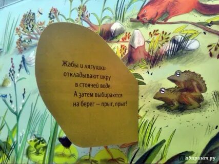 Над землей книга