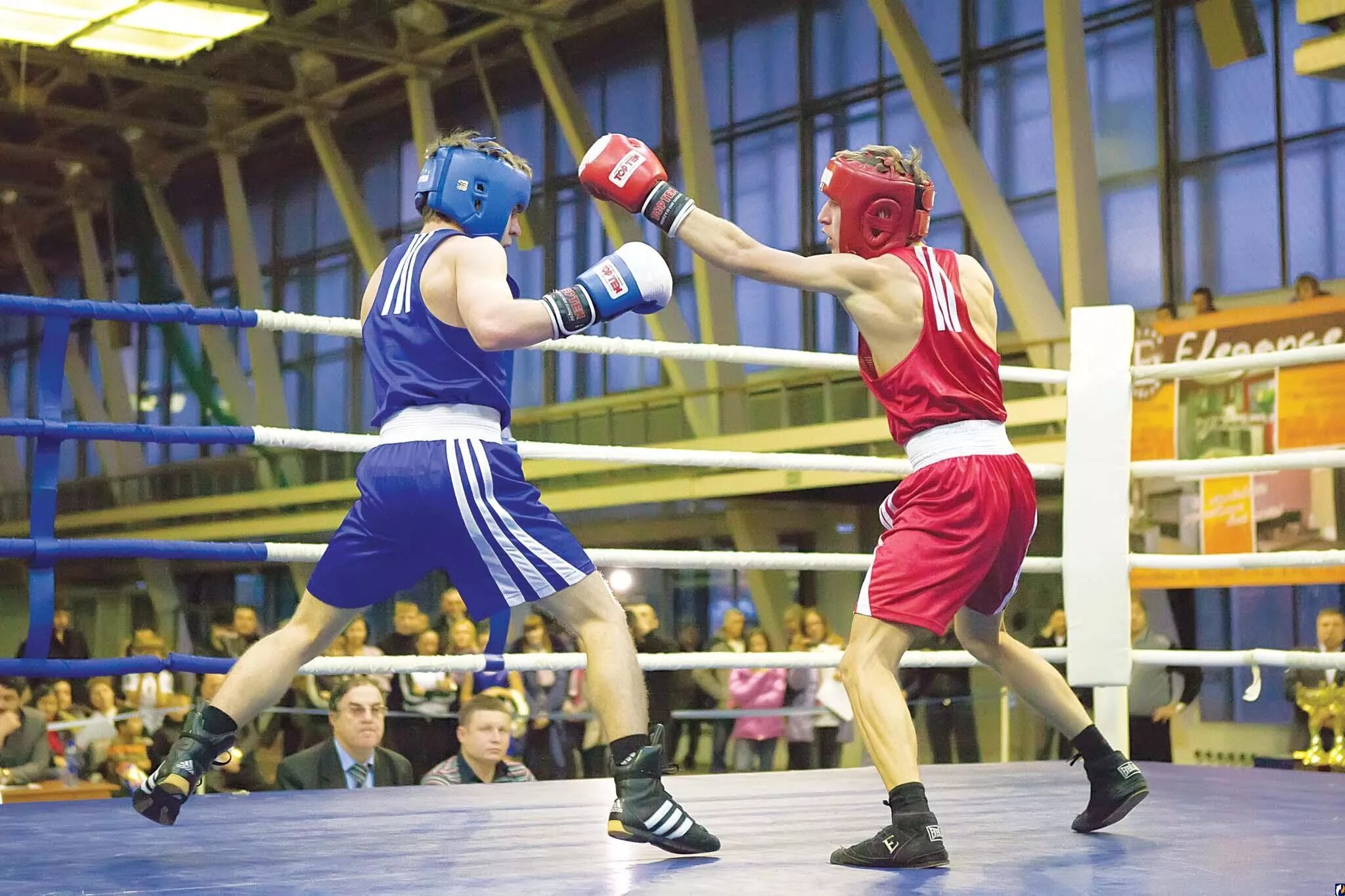 горбокс 15.0 0