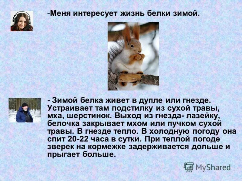 Сравни два текста жила была белка. Жизнь белки зимой. рассказ о белке. рассказ про белку. сочинение о белках.